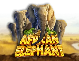 African Elephant™